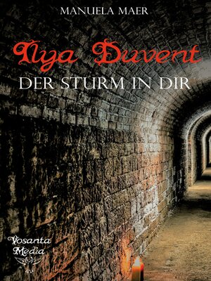 cover image of Der Sturm in Dir
